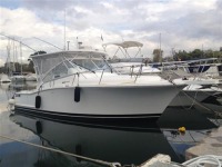 Luhrs 31 Open