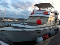 Transworld Empress TW39