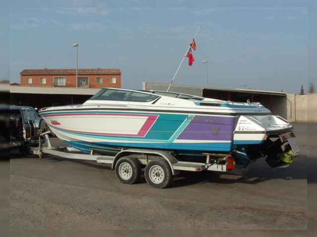 Купить 1991 Thunderbird Formula Ls 242