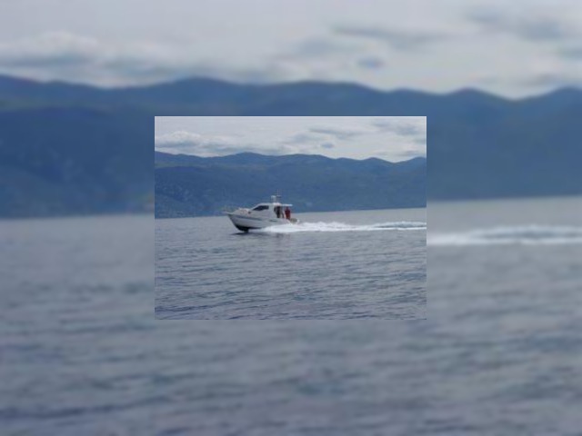 2012 Sas Vector 950 for sale