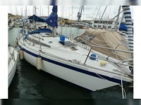 Puma 29