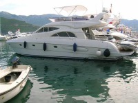 Raffaelli Compass Rose 50