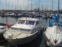 Coronet 26 Family