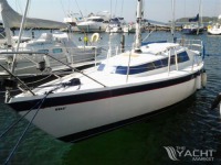 Winga 29