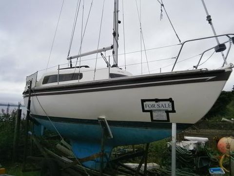 Newbridge Virgo Voyager
