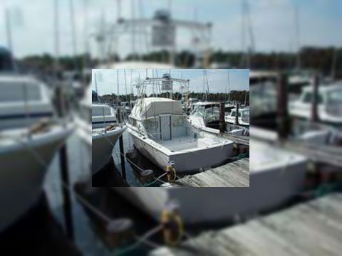 1975 Bertram 28 Flybridge