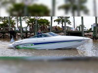 Baja 245 Performance