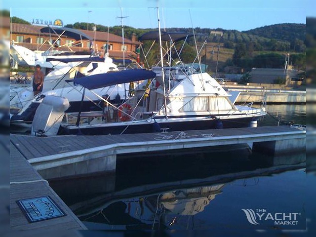 1977 Bertram 28 Fly for sale