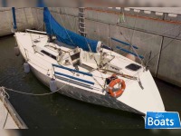 Cantiere Piro Onorati One Off 3/4 Ton Ior