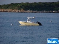 Sea Pro 206 Center Console