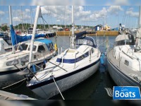 Vinga 29