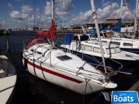 Solus 29