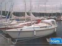 LM Mermaid 270