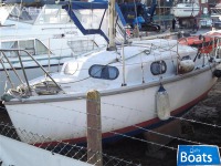 Kingfisher 22 (Available)