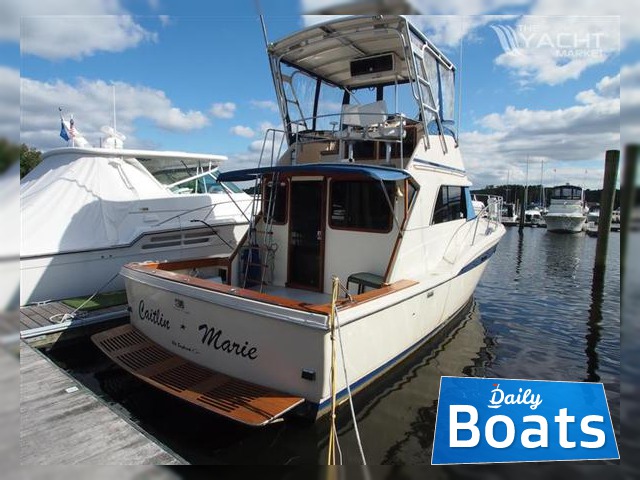 Satılık 1982 Commander Chris-Craft360