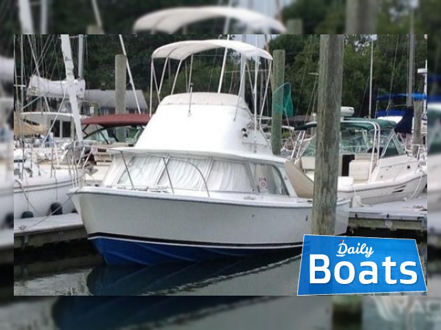 1975 Bertram 31 Flybridge Cruiser