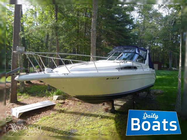 1993 Sundancer Searay