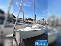 C&C Sloop