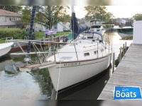 Island Packet 27
