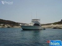 Bertram 46.6