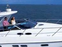Sealine S 38