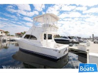 Luhrs Convertible