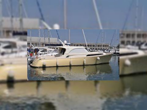 Mochi Dolphin 51