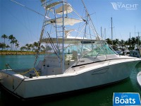 Cabo 45 Express