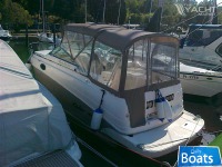Rinker 250 Fiesta Vee