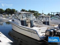 Marlin Grady White 300