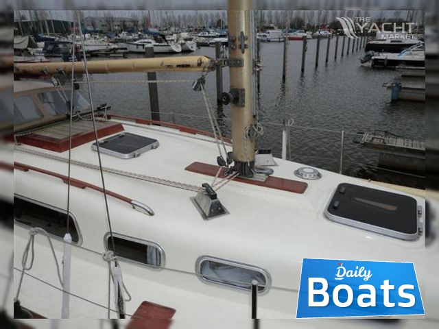 Princess9.8 Mtr kopen