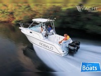 Robalo 2640 Walkaround
