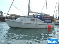 Seamaster Sailer 23 (Available)