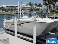 World Cat 250Dc