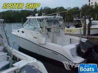 Striper 2901