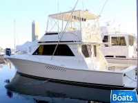 Viking 43 Convertible