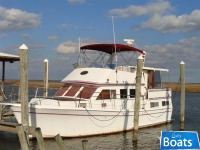 Marine Trader Trawler
