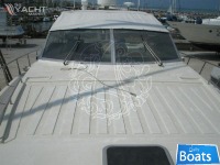 Piantoni 46-48