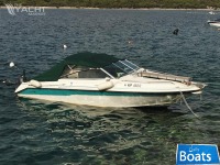 Sea Ray 200 With Trailer
