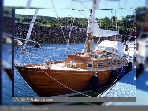 Honey Bee 27