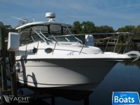 Seaswirl Striper 2901 Walkaround O/B
