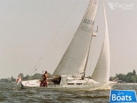Joemarin 36