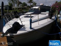 Sea Ray 390 Express Cruiser