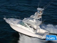 Cabo 38 Express