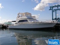 Bertram 50
