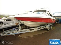 Rinker 206