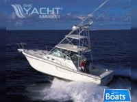Rampage Express 38