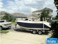 Cobia 217