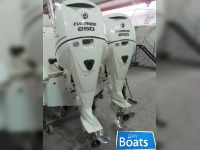 Robalo 265