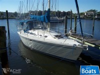 Catalina 320